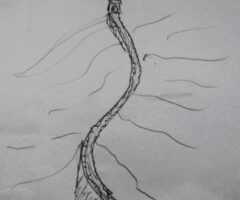 Bis repetita placent*