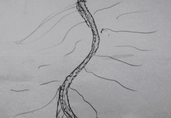 Bis repetita placent*